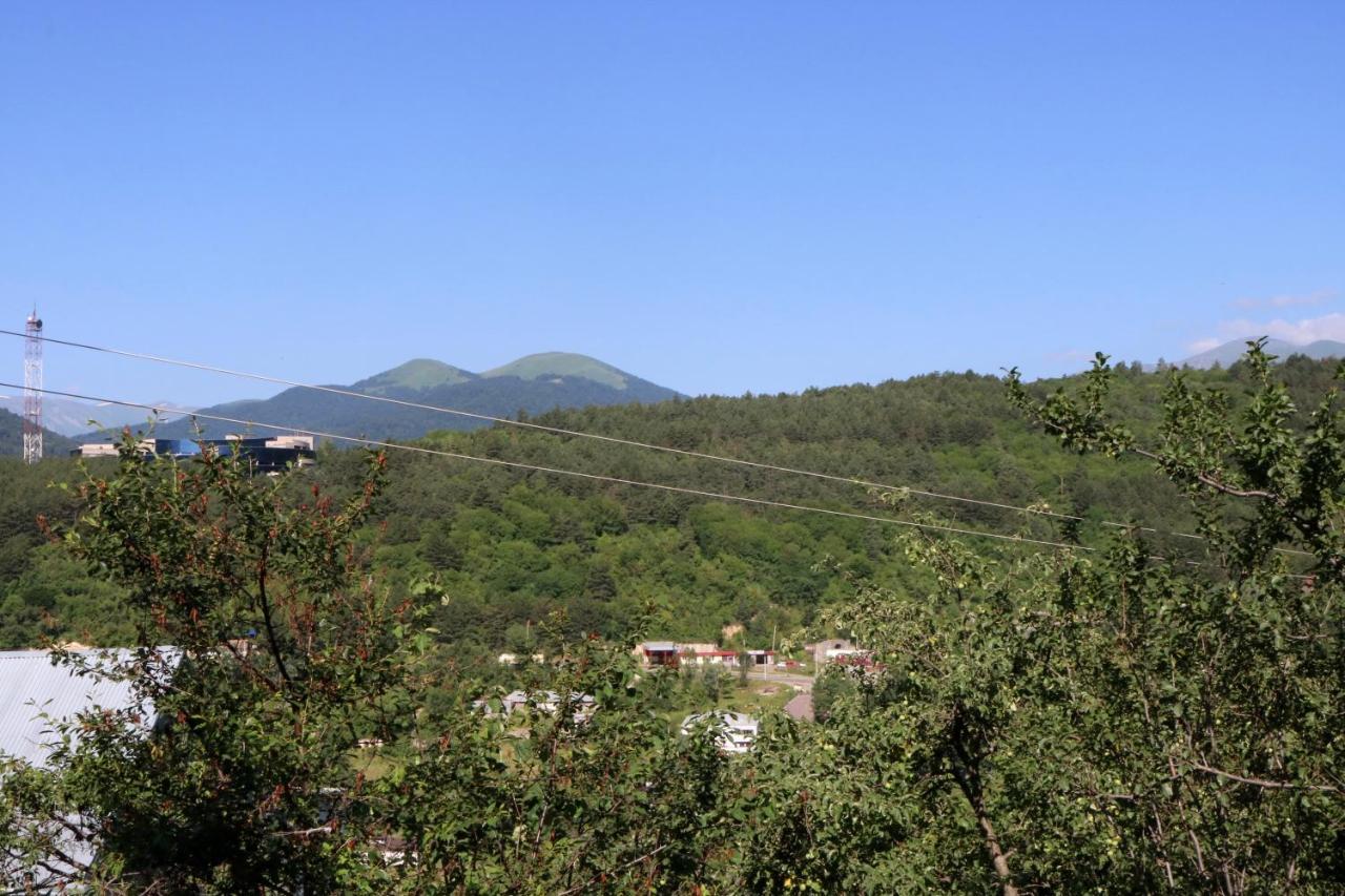 Dilijan Family House Villa Exterior photo